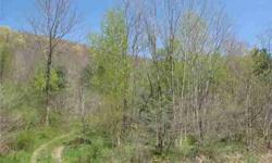 Ten plus acres for under $100,000 with a view of The Wall at Holiday Valley. Build your dream home right here . Great price! Owner will survey. Taxes are approximate. Final size of lot TBD.
Listing originally posted at http