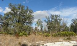 1/4 acre of land for sale with huge Oak Tree in Bronson, Fl.