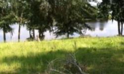 Ski, fish and swim where you live. Why leave home when you can vacation right at home. Lakefront property, gorgeous vacant lot, beautiful oak trees. Build the house of your dreams. Very quite subdivision in Lowndes County. Beautiful view on the lake