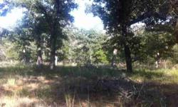 Beautiful piece of property on FM 1117! 21.945 acres. Trees galore!!! Storage shed! Well! Gated and partially fenced! Bring your animals!