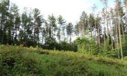 Now is the time to build your dream home on this beautiful 5.4 acre wooded lot. Home site is private from the road and offers mild streams and a great potential pond site. Building site has been partially cleared allowing for a bright, sunny home while