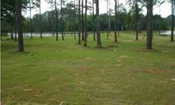 Come build your dream home on this 1.3 +/- acre waterfront lot on Logan Martin Lake. It is surrounded by beautiful new homes and is ready to be built on. It is a level lot with some large trees for hammocks and has a great view of the main channel. This