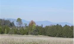 45.6 acres of open fields, small streams at the lower end (North), recently surveyed. Incredible views of the Worcester Mountain Range. Home does not have an approved sewer system and is being sold as is, where is with no expressed or implied warranties