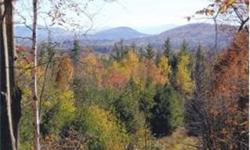 295 ACRES, situated in Guildhall, VT with outstanding views of Mt. Washington, the Kilkennys, Cherry, Garfield and Mt. Lafayette. Entirely wooded with young growth, traversed by trails including a VAST snowmobile trail. The land rises across several