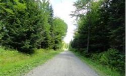 The picture perfect country road leads to this lovely building lot in Troy. Mostly level, wooded lot with 300' road frontage along the Bowenville Road. Very private location, dead end road, so has very little traffic. Not far to Jay Peak Resort, and the