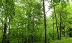 Residential building lot tucked into the woods about one mile from Lake Elmore and Rt. 12 for commuting. Septic plans call for off-site shared leachfield and on-site drilled well. Covenants allow for modular homes-subject to owner's approval.This lot does